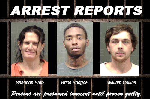 Arrests Reports Webster Parish Journal